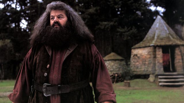 vdes-aktori-i-njohur-i-‘harry-potter’