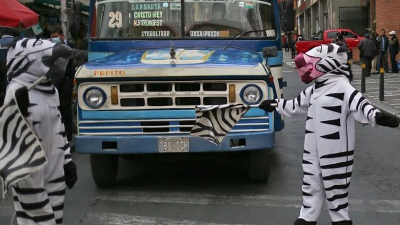 kostume-zebra-per-edukim-rrugor-ne-bolivi
