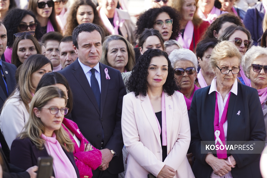 ​osmani:-nga-viti-tjeter-do-te-rrisim-mbeshtetjen-per-grate-e-prekura-me-kancer-te-gjirit