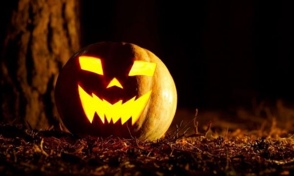 historia-e-vertete-e-kungujve-te-halloween,-pse-jane-simboli-i-festes-se-famshme