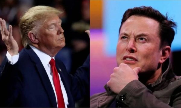 elon-musk-me-sondazh-per-kthimin-e-donald-trump-ne-twitter