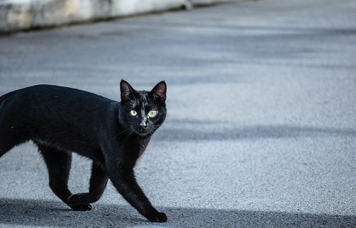 a-e-dini-pse-macet-e-zeza-konsiderohen-“simbol-i-fatkeqesise”?