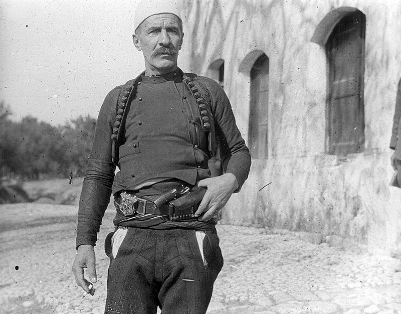 fati-i-trishte-i-pasardhesve-te-isa-boletinit