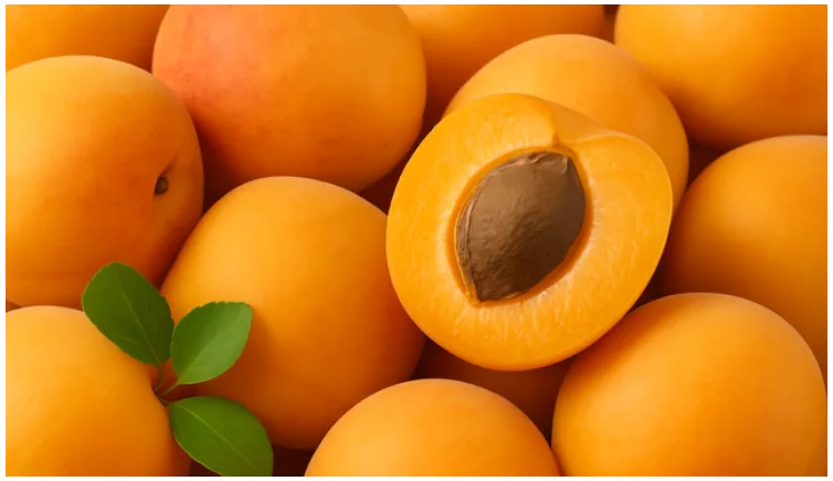 kajsite,-fruti-i-veres-qe-pastron-gjakun-dhe-melcine
