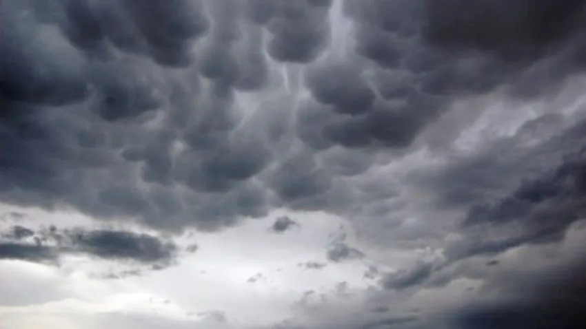 reshje-shiu-dhe-renie-e-theksuar-temperaturash,-parashikimi-i-motit-per-neser