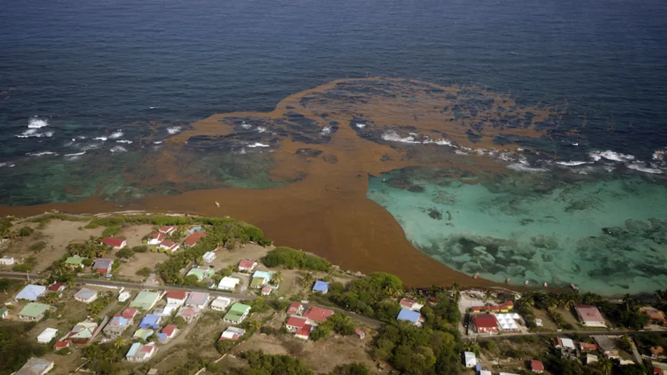 nje-habitat-unik-ku-natyra-krijon-mrekulli:-historia-dhe-sekretet-e-detit-te-vetem-pa-bregdet