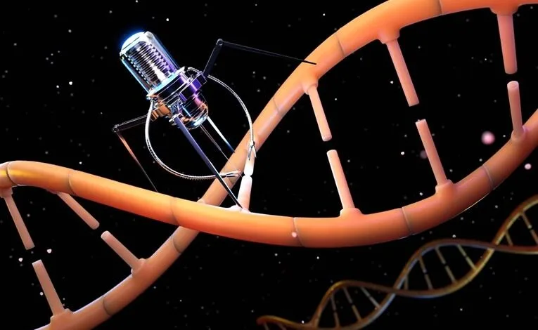 shkencetaret-kane-krijuar-nje-robot-aq-te-vogel-sa-mund-te-udhetoje-neper-trupin-e-njeriut