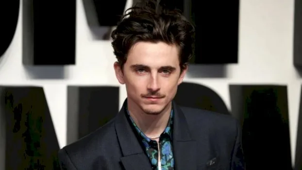 timothee-chalamet-behet-aktori-me-i-ri-me-tre-nominime-per-cmimin-oscar,-arrin-kete-sukses-qe-nga-legjenda-marlon-brando