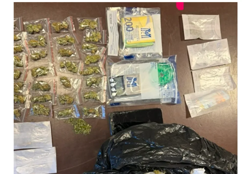 cka-u-konfiskua-ne-aksionin-e-antidroges-ne-suhareke?-policia-jep-detaje